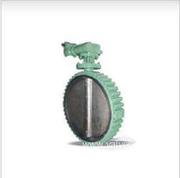 Worm lug rubber lined butterfly valve
